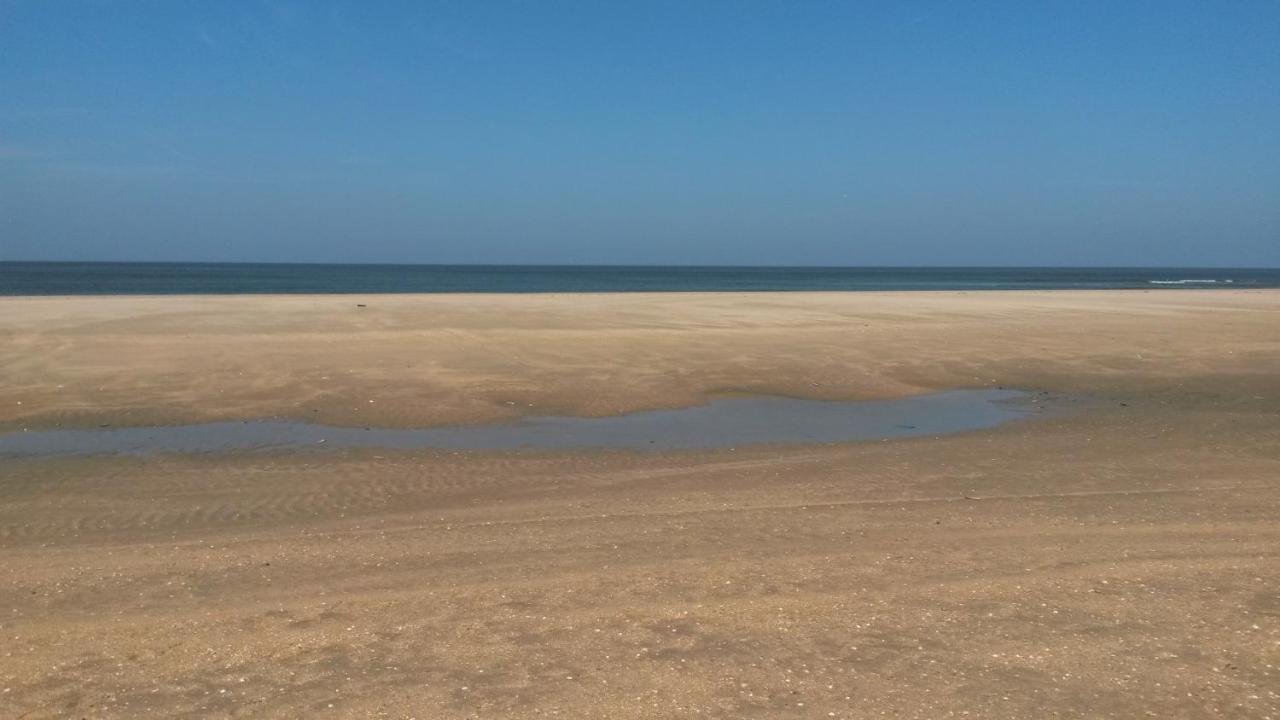 Vitamin Sea Heemskerk Dış mekan fotoğraf